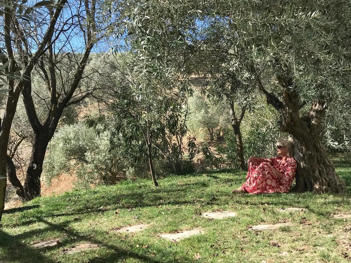 Séjour à la campagne Maison d'hôtes Cortijo La Fe à Montefrío