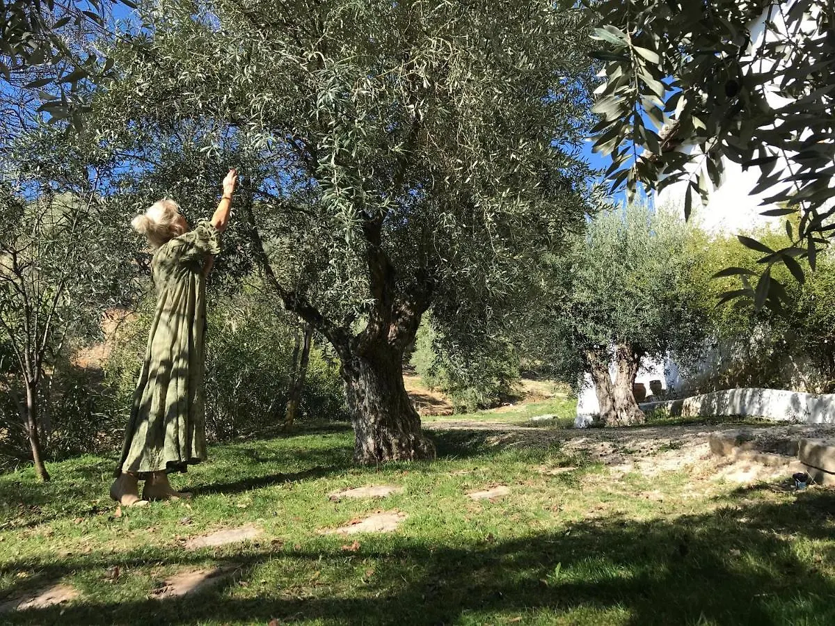 Maison d'hôtes Cortijo La Fe à Montefrío Séjour à la campagne